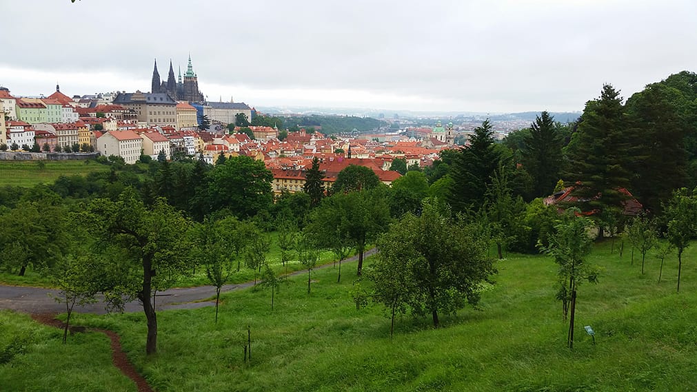 Prague Castle. Inspiration for Europe