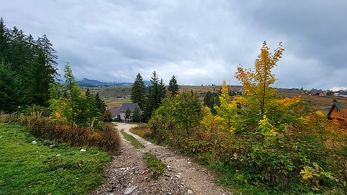 View of fall colors and a dirt road on the way to Durmitor National Park