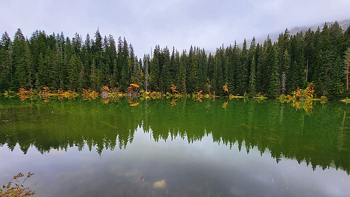 image of a mountain lake surrounded by pine trees which are reflected in the water