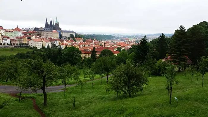View of green trees and hills with Prague Castle in the distance. You can tell a tourist vs traveler by how much they challenge themselves.