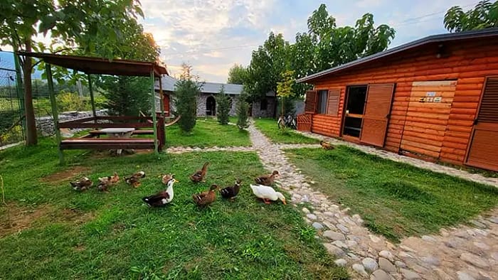 image of a log cabin building at a campground with ducks in the grass